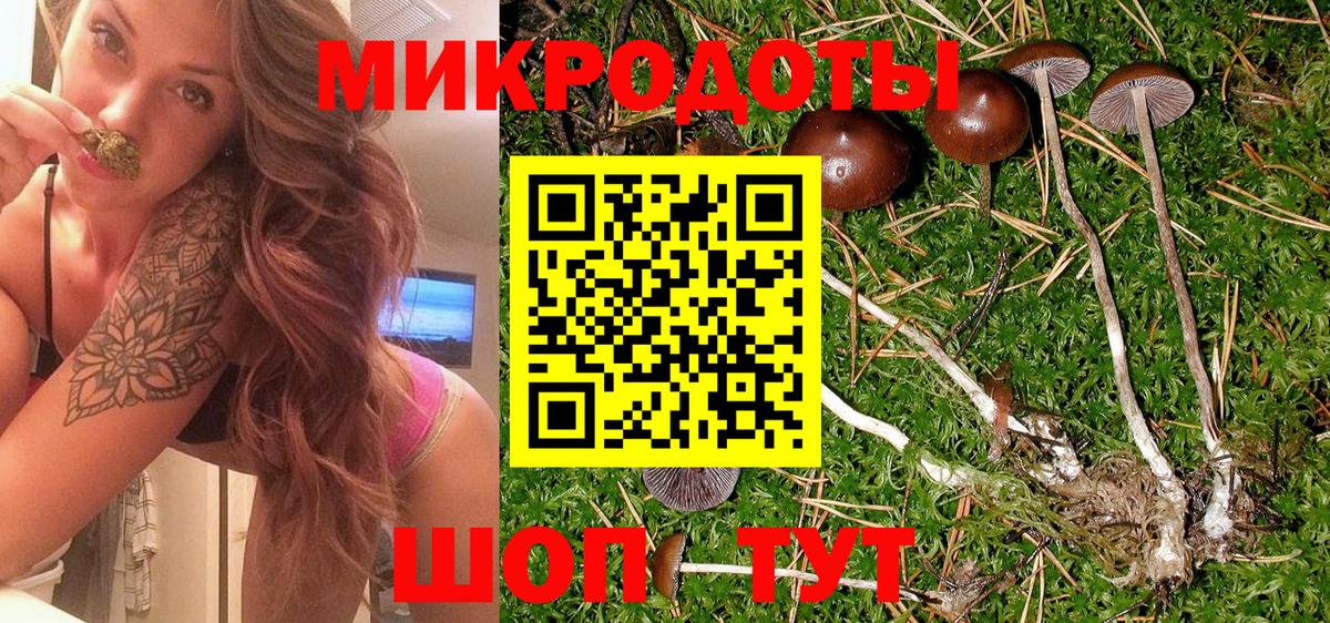 Галлюциногенные грибы MAGIC MUSHROOMS Вязники